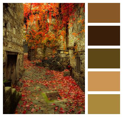 Autumn Colors Autumn Mood Alley Image